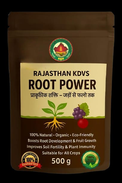 Root Power