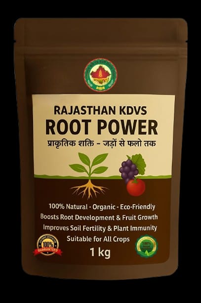 Root Power